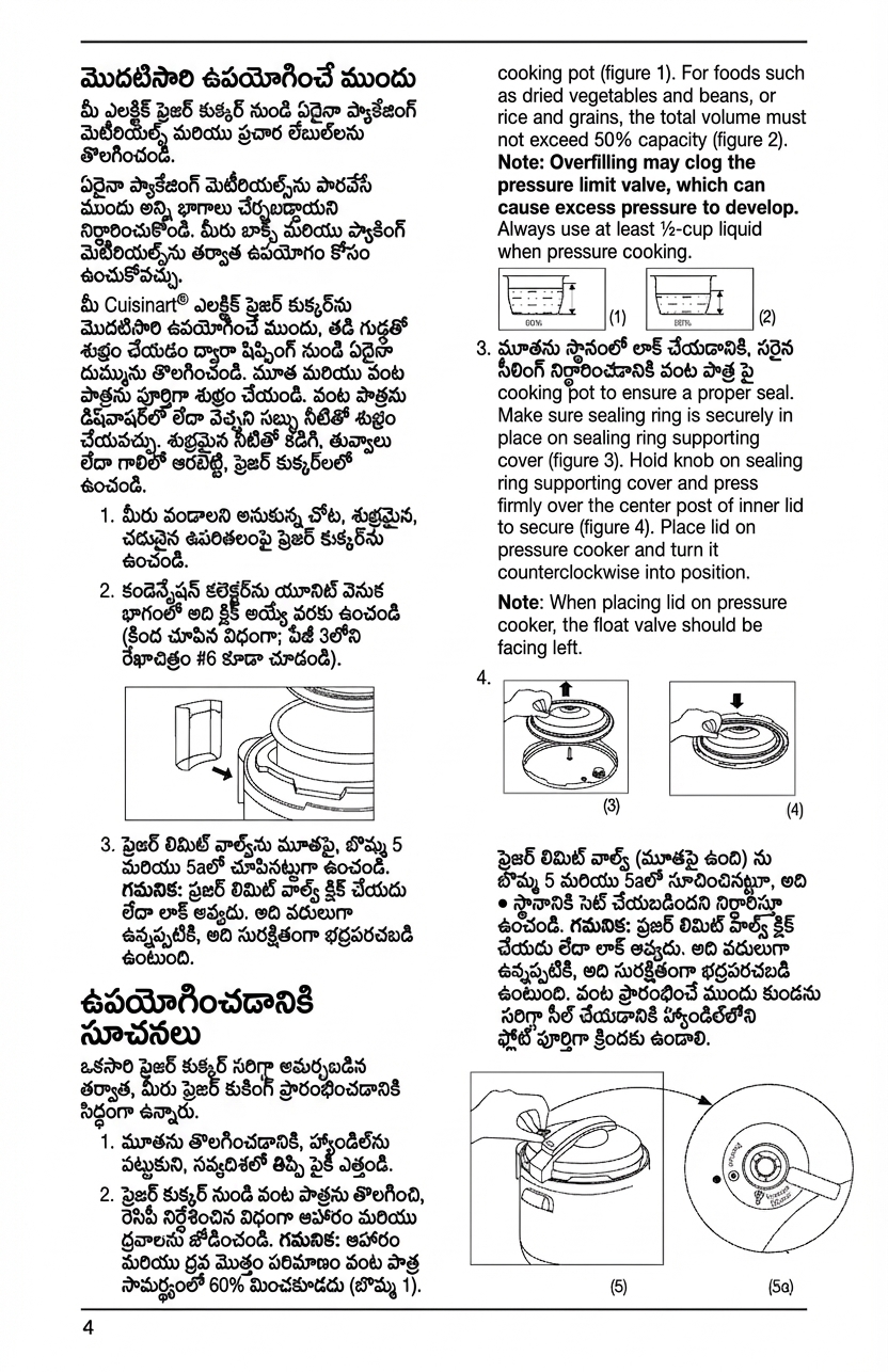 PixLate example: తెలుగు